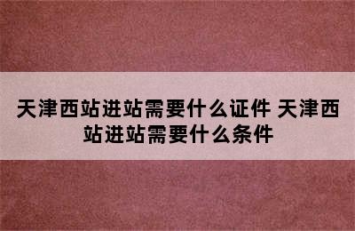 天津西站进站需要什么证件 天津西站进站需要什么条件